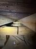 Mold Remediation in Bowling Medina, TN - Photo 10