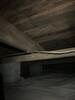 Mold Remediation in Bowling Medina, TN - Photo 3