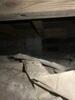 Mold Remediation in Bowling Medina, TN - Photo 2