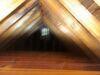 Remediating Mold in the Living Space in Pittsburgh, PA 15216 - Photo 6