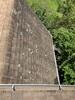 Norwalk, CT Roof Replacement with IKO Dynasty Brownstone Shingles - Photo 3