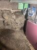 Crawl Space Encapsulation & Waterproofing in Westfield, Vermont | Matt Clark's Northern Basement Systems - Photo 2