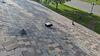 Complete Roof Repair in Pittsfield, MA - Photo 1