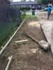 New Concrete Driveway & Walkway Addition - Westwego, LA! - Photo 6