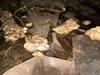 Wet Crawl Space Water Control & Flooding Repair in Shiocton, WI - Photo 1