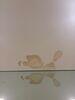 Ceiling Repair in Gardner, Kansas - Photo 3