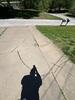 Driveway Rescue in Le Claire, IA - Photo 1