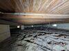 Crawl Space Repair Solution in Silver Springs, FL - Photo 1