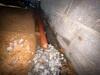 Crawl Space Encapsulation in Benton, KY - Photo 5