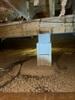 Permanent Floor Stabilization in Lost Creek, WV - Photo 1