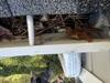 Gutter Shutter | Powder Springs, GA Gutter Replacement - Photo 5