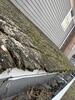 06820 - Photo 3