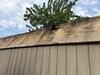 Roofing and Shed Installation in Pittsfield, MA - Photo 4