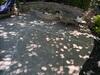 Concrete Patio Repair in Roswell, Georgia - Photo 1