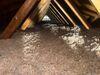 The Best Time to Fix Hidden Energy Problems in Washington, PA 15301 - Photo 2