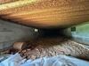 Crawl Space Encapsulation, Scottsboro, AL - Photo 7
