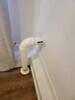 Radon Mitigation System in Wheat Ridge, CO - Photo 3