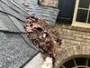 RainDrop Gitter Replacement | Gutter Shutter of Greater Atlanta - Photo 2