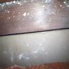 Hidden Attic Air Leaks Discovered During Home Inspection in Brick, NJ - Photo 1