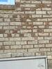 Crawl Space Repair in White Plains, KY - Photo 9