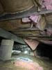 Crawl Space Repair in White Plains, KY - Photo 7