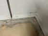 Wet Basement & Foundation Repair in Sheboygan Falls, WI - Photo 2