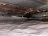 Fort Defiance, Virginia Crawl Space Encapsulation Project Completed by Fortress - Photo 1