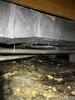 Wet Crawlspace in Hattiesburg, MS - Photo 1