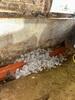 Crawl Space Repair in Camden, TN - Photo 9
