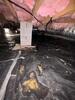 Crawl Space Repair in Mount Lookout, WV - Photo 1