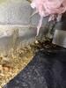 Wet Crawl Space Fix in Mount Lookout, WV - Photo 1