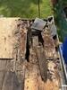 Roofing Replacement in Dalton, MA - Photo 4