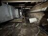 Musty Crawlspace in Clinton, LA - Photo 3