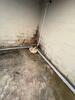 Basement Waterproofing in Scottsboro, AL - Photo 6