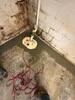Basement Waterproofing in Scottsboro, AL - Photo 2