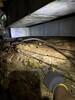 Crawlspace Encapsulation in Meridian, MS - Photo 1