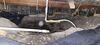 Eradicating Crawl Space Moisture and Condensation in Sterling, IL - Photo 2