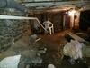 Wet Musty Crawlspace Encapsulation & Drainage in Suamico, WI - Photo 7