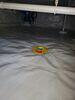Musty Crawlspace Vapor Barrier Encapsulation & Sump Pump Installed in Suamico, WI - Photo 6