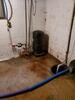 Basement Water & Moisture Issues Fixed in Suamico, WI - Photo 4