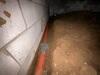 Crawl Space Repair in Cadiz, KY - Photo 6