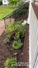 Greenwich, CT Deck Refinishing | Commercial Replacement Decking - Photo 4