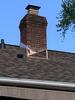 Roof Replacement in Yorktown Heights - Photo 1
