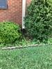 Downspout Extensions Protect Home from Water Damage in Athens, TN - Photo 1