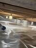 Rodents in crawlspace in Dallas, Tx - Photo 1