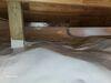 Crawl Space Water & Moisture Issues Resolved in Shawano, WI - Photo 2