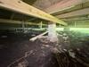 Moisture underneath home in Pascagoula, MS - Photo 4