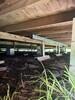 Moisture underneath home in Pascagoula, MS - Photo 2
