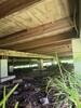 Moisture underneath home in Pascagoula, MS - Photo 1