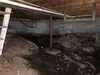 Damp Crawl Space Inspection on Monhegan Island, Maine - Photo 1